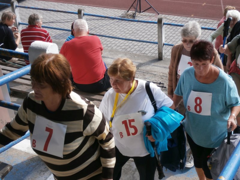 sportovnhrysenior_17620153.jpg