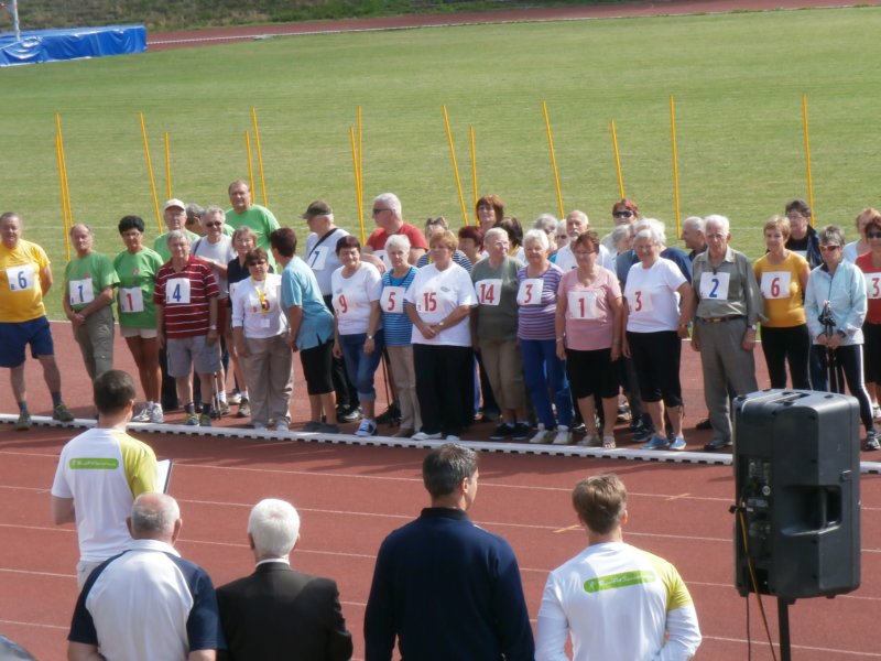 sportovnhrysenior_17620158.jpg